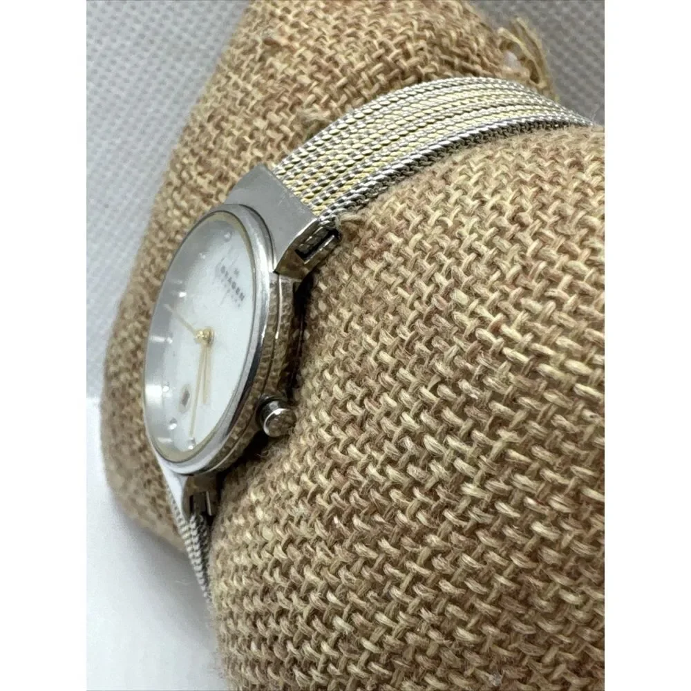 Skagen Ancher 355SSGS Women Stainless Steel Mesh Analog Dial Quartz Watch JNA900